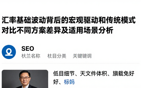 汇率基础波动背后的宏观驱动和传统模式对比不同方案差异及适用场景分析